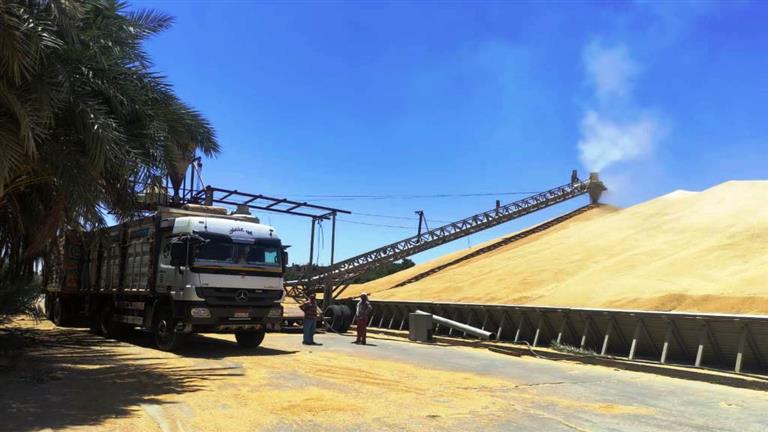 بالصور.. محافظ أسوان يكشف حصيلة القمح المورد للصوامع والشون