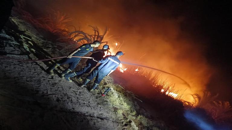 على مساحة 10 أفدنة.. حريق يلتهم مزارع نخيل في الوادي الجديد (صور)
