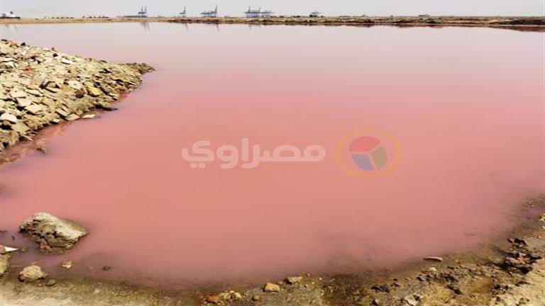 "بقى لونها أحمر".. 12 صورة ترصد تغير لون مياه البحر بملاحات بورسعيد 