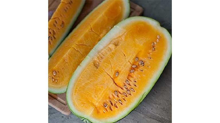 البطيخ البرتقالي| مش للأكل فقط فيه لب وعصير.. خبير يوضح مميزاته وسبب جودة منتجاته