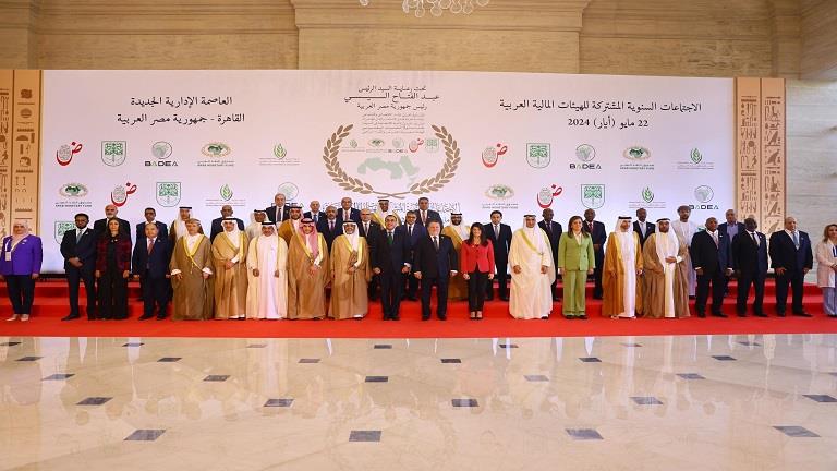 وزيرة التعاون: الشراكة بين مصر والمؤسسات العربية قدمت نموذجًا للتعاون لتنمية شبه جزيرة سيناء