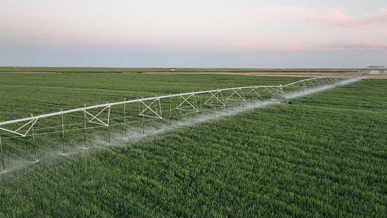 الزراعة: نتبني أساليب مبتكرة لزيادة الإنتاجية مع استهلاك أقل للمياه