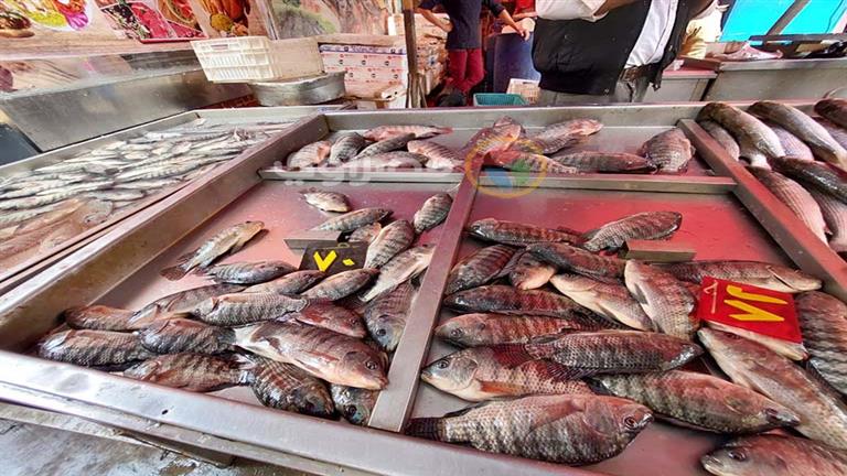 تعرف على أسعار الأسماك والمأكولات البحرية بسوق العبور اليوم الجمعة