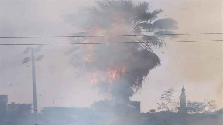 إخماد حريق نشب في أشجار مدرسة ثانوية بمدينة المنيا (صور)