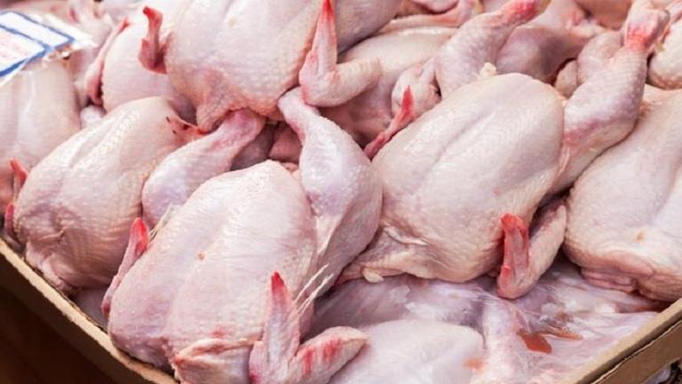 أوقاف الشرقية:  توزيع 1000 دجاجة ضمن مشروع صكوك الإطعام 