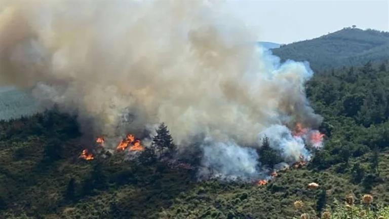 تركيا تشهد أول حرائق كبرى للغابات مع الارتفاع الشديد في درجات الحرارة