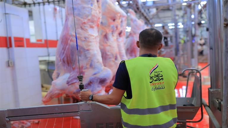 "تحيا مصر" يطلق مبادرة "أضاحي" لتوزيع اللحوم على الأسر الأولى بالرعاية 