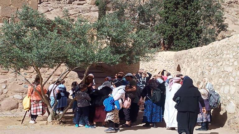 في ثاني أيام العيد.. 300 سائح يصعدون جبل موسى بسانت كاترين- صور