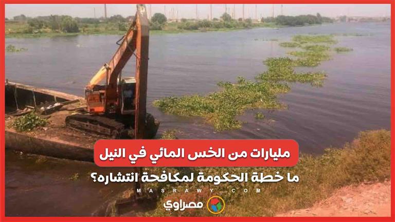 مليارات من الخس المائي في نهر النيل  ..  ماهي خطة الحكومة لمكافحة انتشاره؟