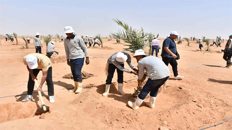 القوات المسلحة تنظم زيارة إلى مشروع استصلاح وزراعة الاراضى الصحراوية بتوشكى