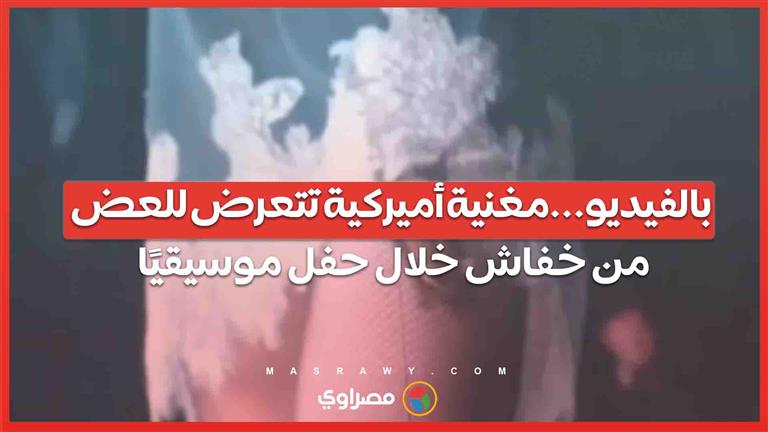 بالفيديو ...مغنية أميركية تتعرض للعض من خفاش خلال حفل موسيقيًا