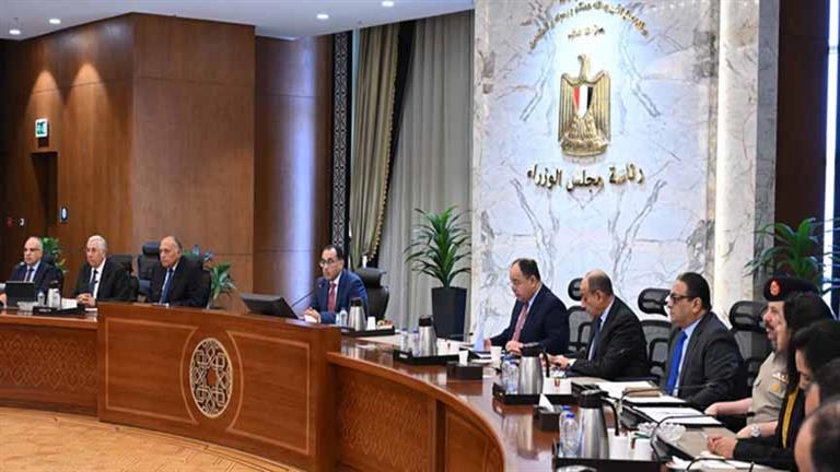 رئيس الوزراء يترأس اجتماع اللجنة المعنية بتعزيز العلاقات المصرية الإفريقية