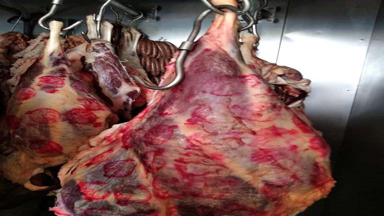ارتفاع اللحوم وتراجع العدس في الأسواق اليوم الثلاثاء (موقع رسمي)