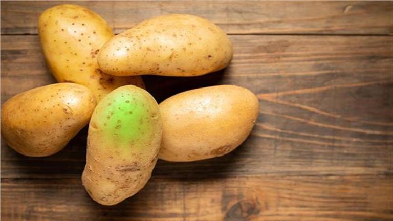 سر خطير وراء البقع الخضراء في البطاطس.. إليك ما يحدث إذا تناولتها