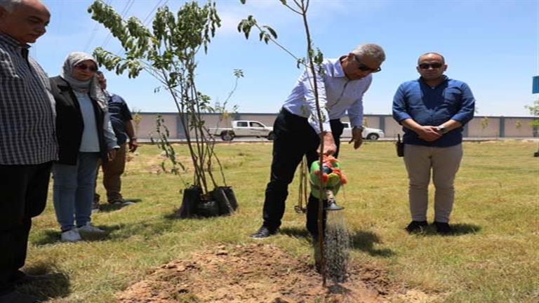 بالصور.. محافظ أسوان يزرع مجموعة أشجار بكوم أمبو 