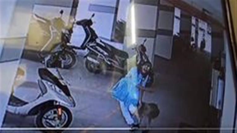 20 صورة تكشف هجوم قرد على فتاة داخل جراج سيارات- لن تتوقع ماذا حدث (فيديو)