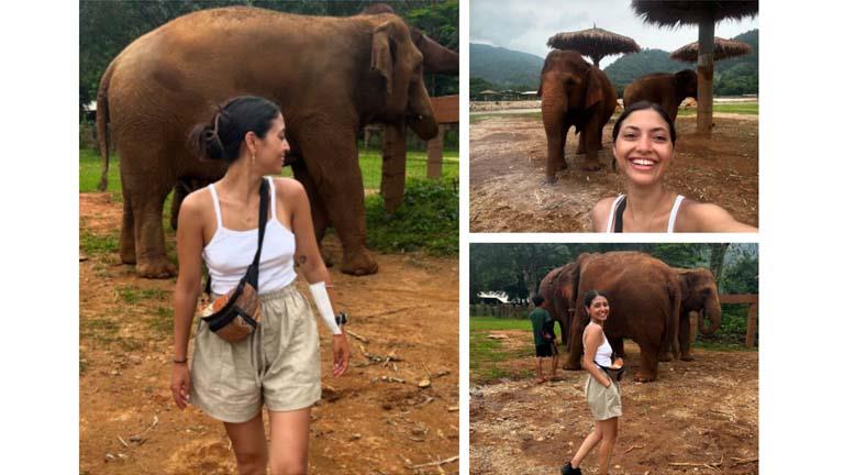 مي الغيطي تستعيد ذكريات زيارتها مركز لإنقاذ الأفيال في تايلاند
