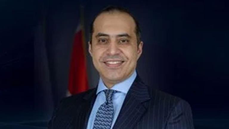 المستشار محمود فوزي: رعاية حقوق الإنسان توجه مصري كامل وعميق