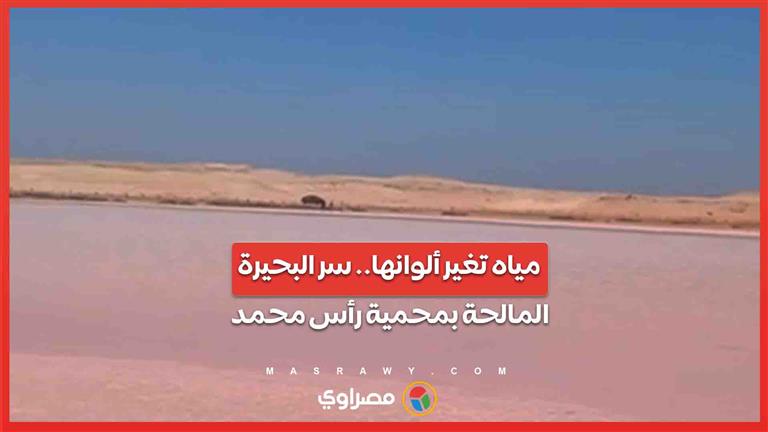 مياه تغير ألوانها.. سر البحيرة المالحة بمحمية رأس محمد