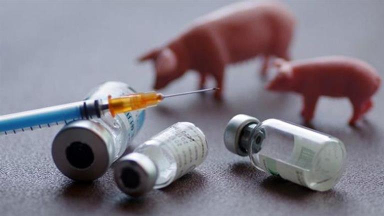 كوريا الجنوبية تعلن تسجيل سادس إصابة بحمى الخنازير الأفريقية 