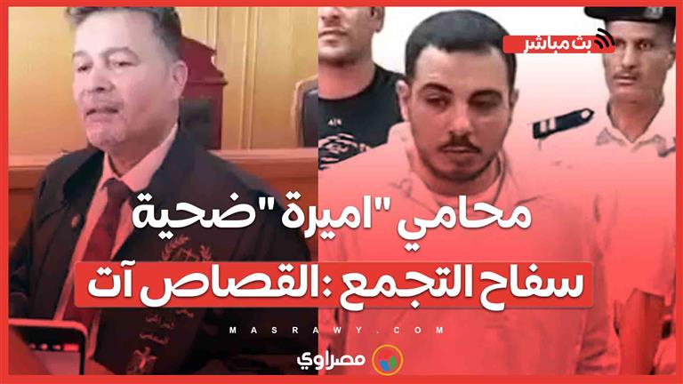 محامي "اميرة "ضحية سفاح التجمع :القصاص آت