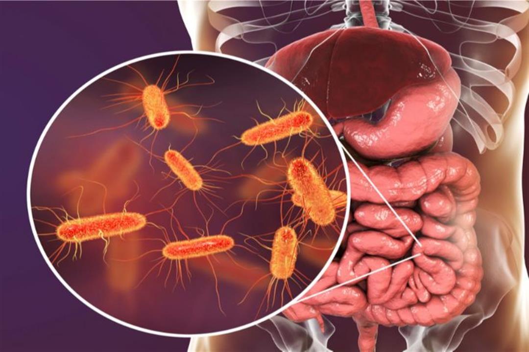 E. coli تحل لغز مرض أهالي أسوان إليك كل ما تريد معرفته