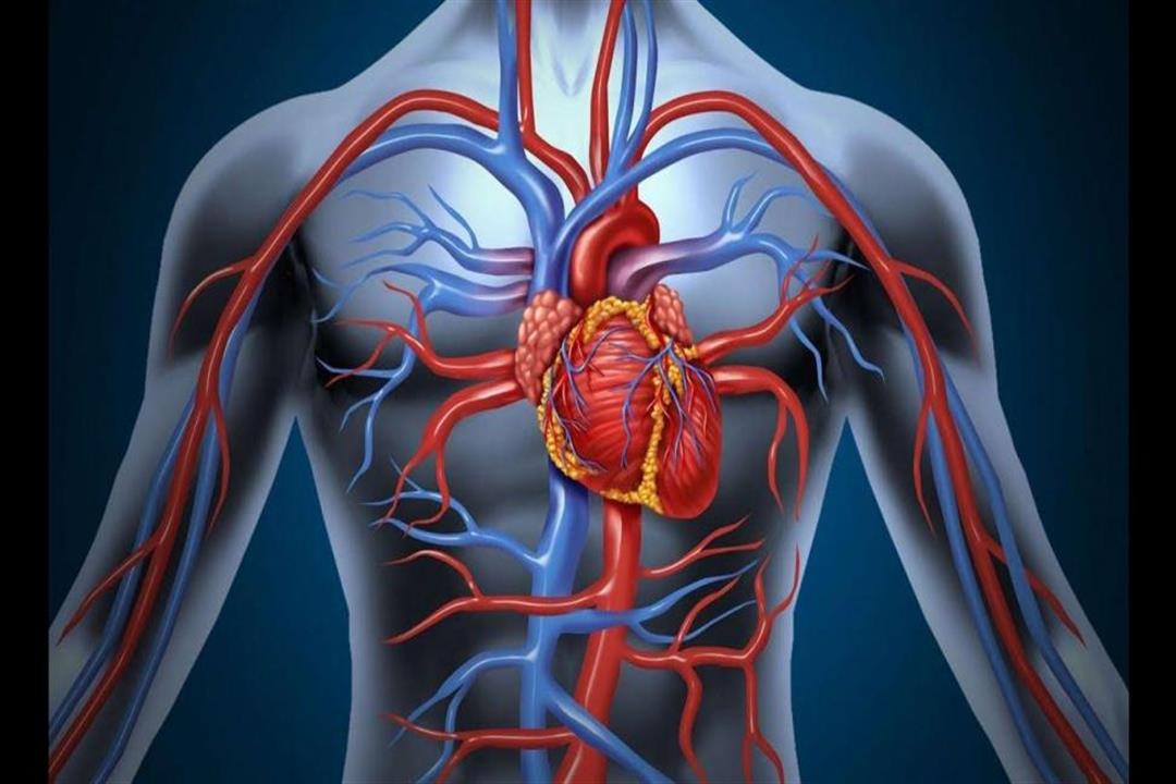 6 علامات جسدية تشير لانسداد الشرايين القلبية