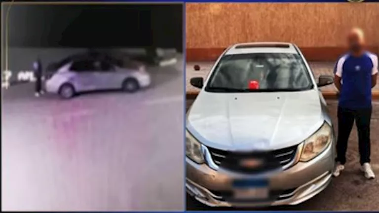 فيديو صادم| ضبط سائق وضع طعامًا مسمومًا للكلاب الضالة في حدائق الأهرام