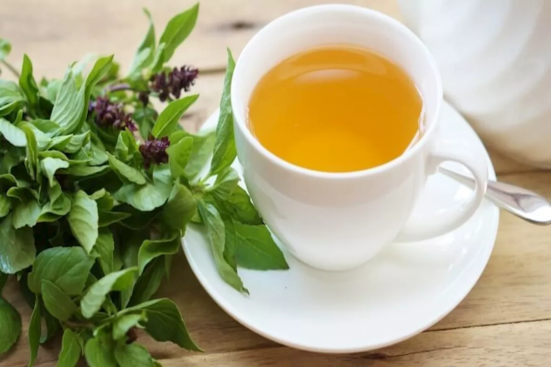 شاي الريحان بزيت حبة البركة