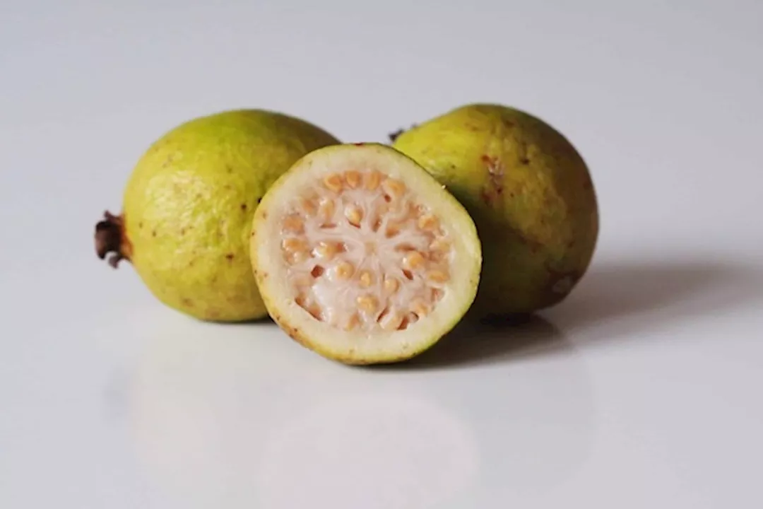 الجوافة