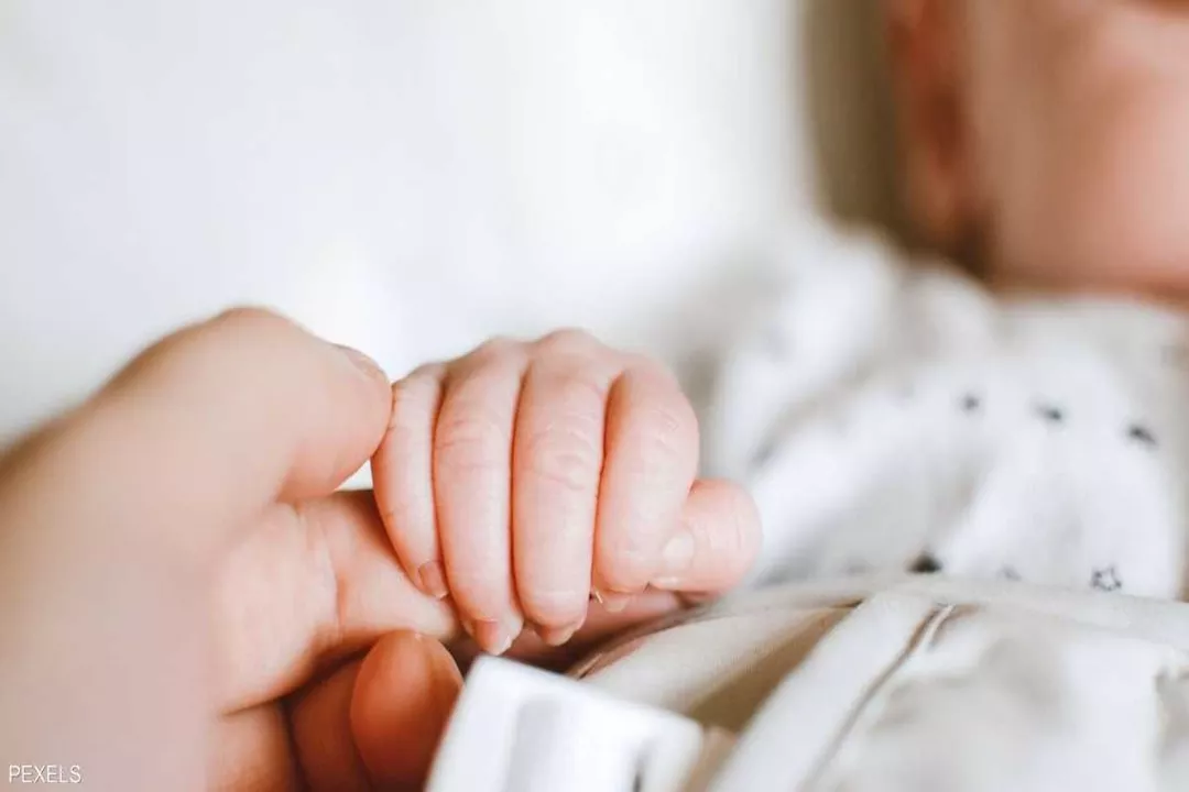 تراجع معدل المواليد