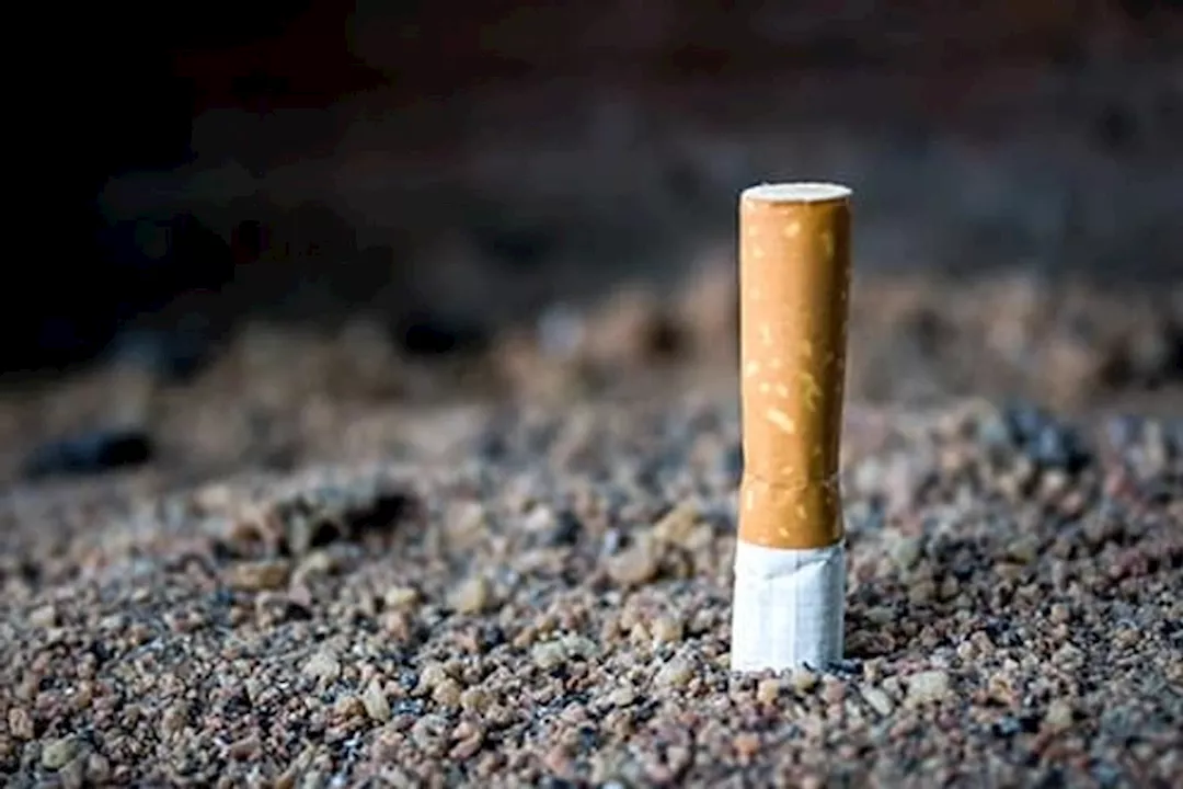 WhatsApp Image 2025-10-03 at 2.31.56 PM (1)