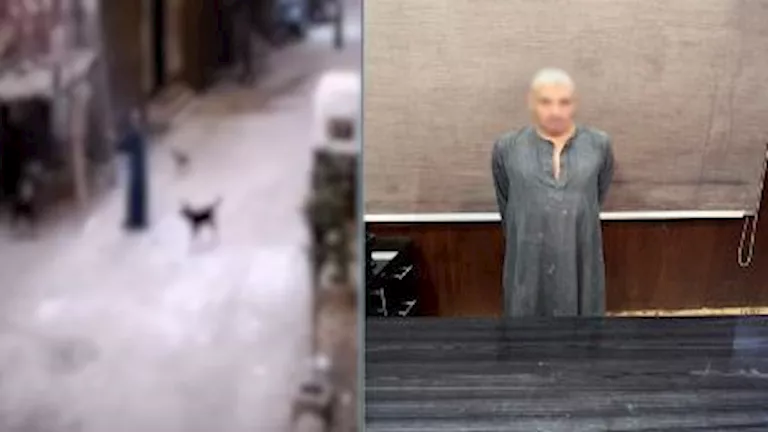 فيديو صادم في الهرم.. حارس يعتدي على كلب والشرطة تعاقبه