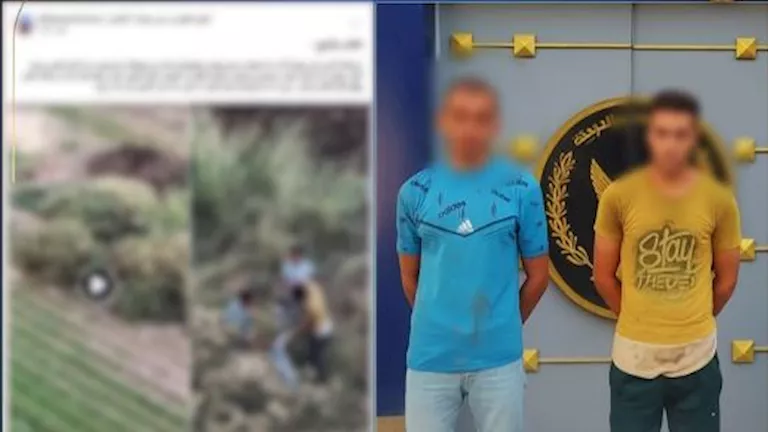 فيديو الكلاب في بني سويف يُشعل السوشيال ميديا.. والداخلية تكشف الحقيقة