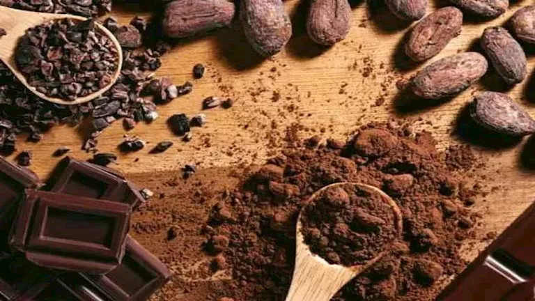 800 جنيه للكيلو.. أسعار الكاكاو تقفز بنسبة 100% خلال عام 800 جنيه للكيلو.. أسعار الكاكاو تقفز بنسبة 100% خلال عام