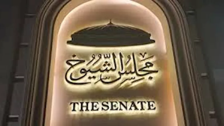 برلماني: المشاركة في الانتخابات واجب وطني ورسالة دعم للدولة