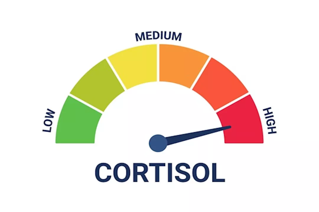ارتفاع الكورتيزول