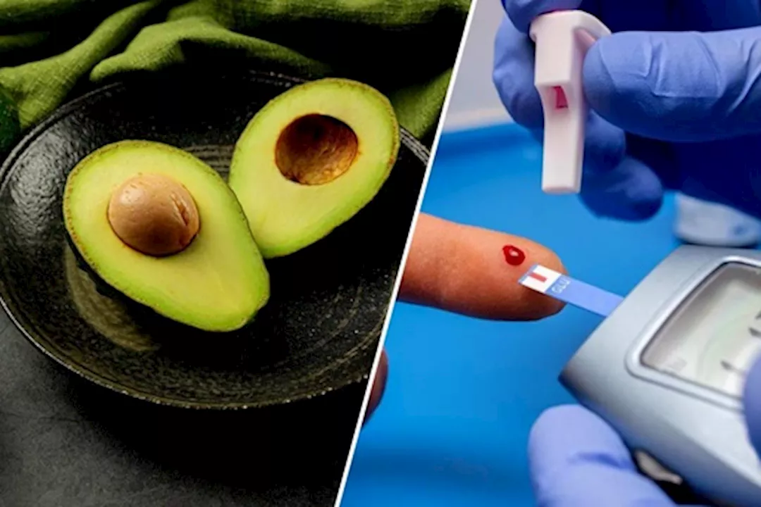 تأثير الأفوكادو على سكر الدم