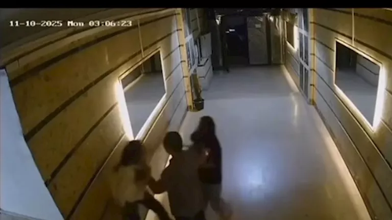 الأجهزة الأمنية تفحص فيديو متداول للتعدي على فتاة بمدخل عقار