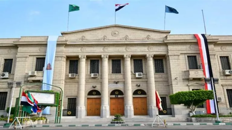 بينها قبول خدمة مقابل خدمة.. أستاذة علم اجتماع توضح أنواع الرشوة