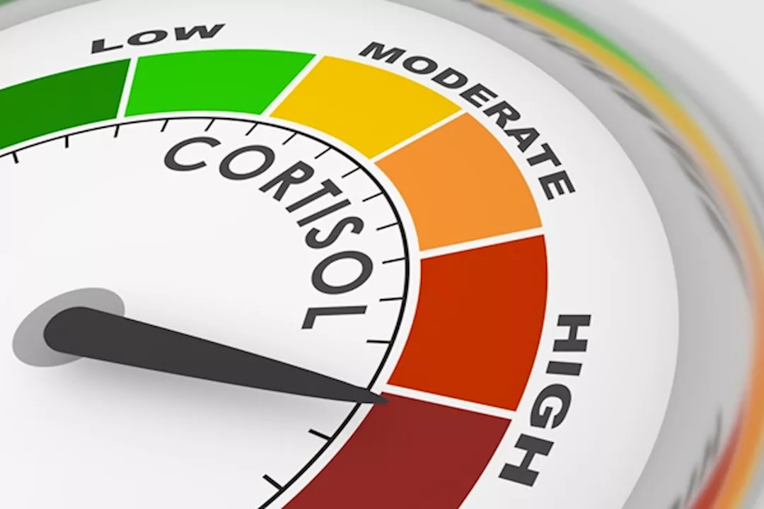 ارتفاع الكورتيزول