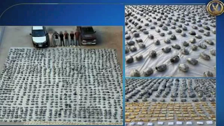 ضبط 6 عناصر خطرة وبحوزتهم 2 طن هيدرو و261 كجم حشيش بالسويس