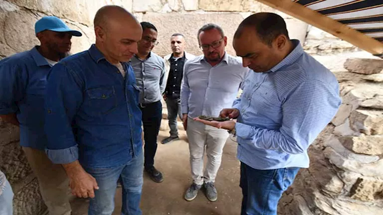 علامة فارقة.. اكتشاف 225 تمثالًا من الأوشابتي بمنطقة صان الحجر الأثرية