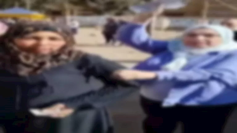 فيديو يفضح شبكة شراء الأصوات.. تفاصيل ضبط سيدة تجمع بطاقات الناخبين با