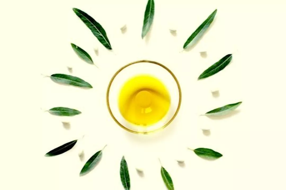 زيت الزيتون