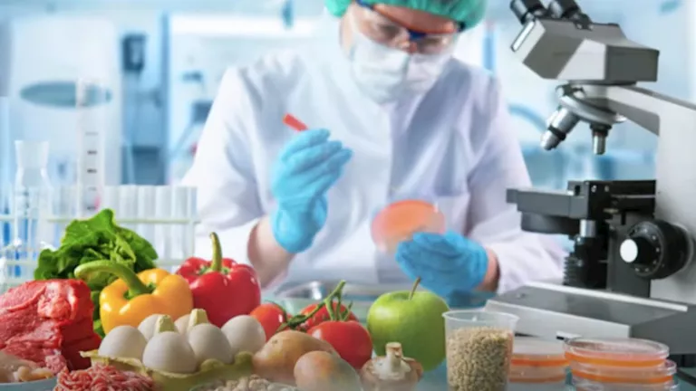 ما الخدمات التي يقدمها المعمل المركزي لبحوث الصناعات الغذائية والتغذية