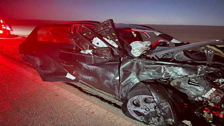 “غيبوبة تامة”.. آخر تطورات الحالة الصحية للمطرب إسماعيل الليثي (فيديو