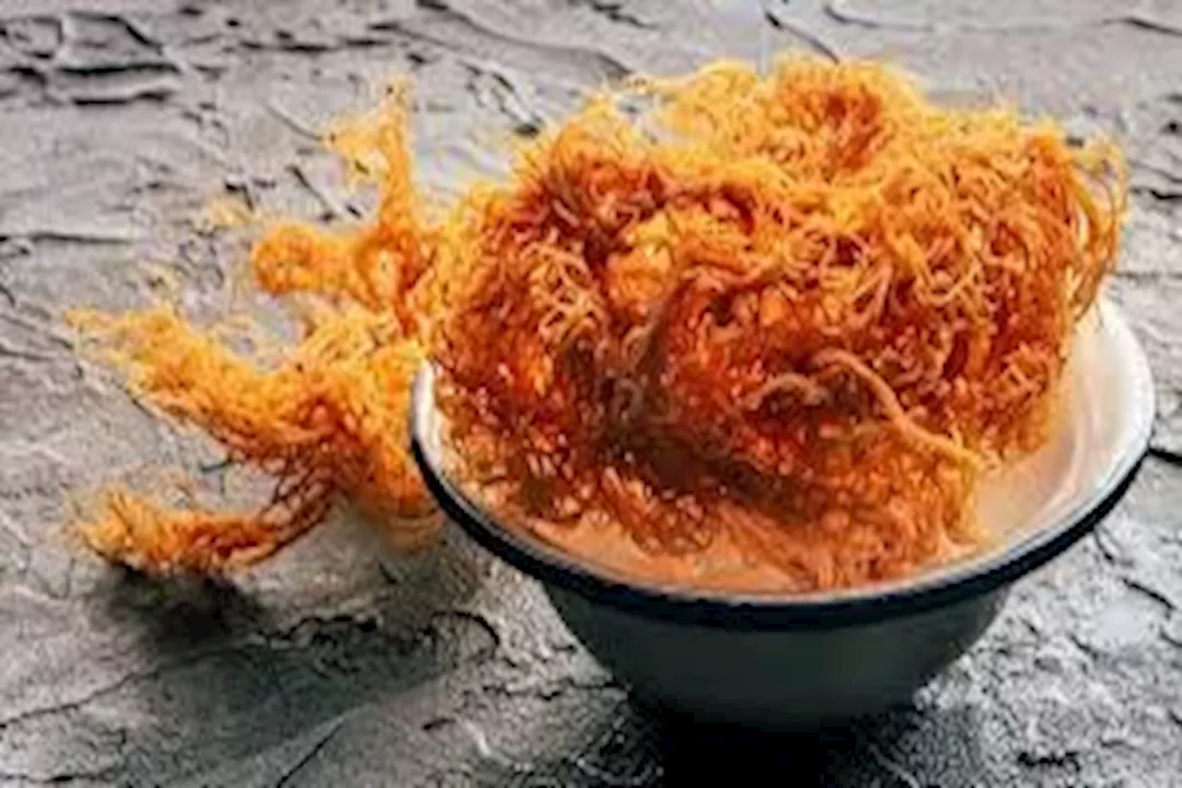 الطحالب البحرية