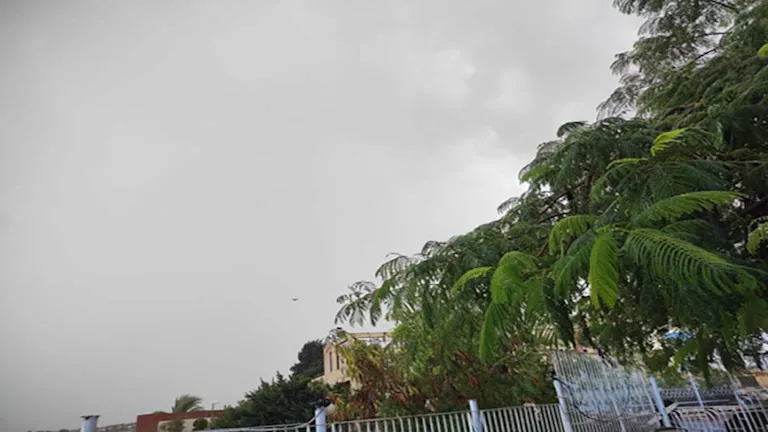 20 صورة ترصد.. الأمطار تضرب 10 محافظات الآن