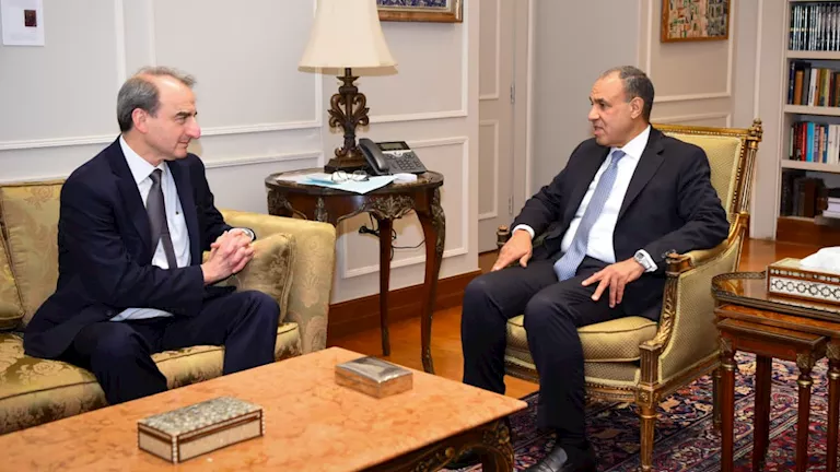 وزير الخارجية يستقبل مدير عام السياسات باللجنة اليهودية الأمريكية